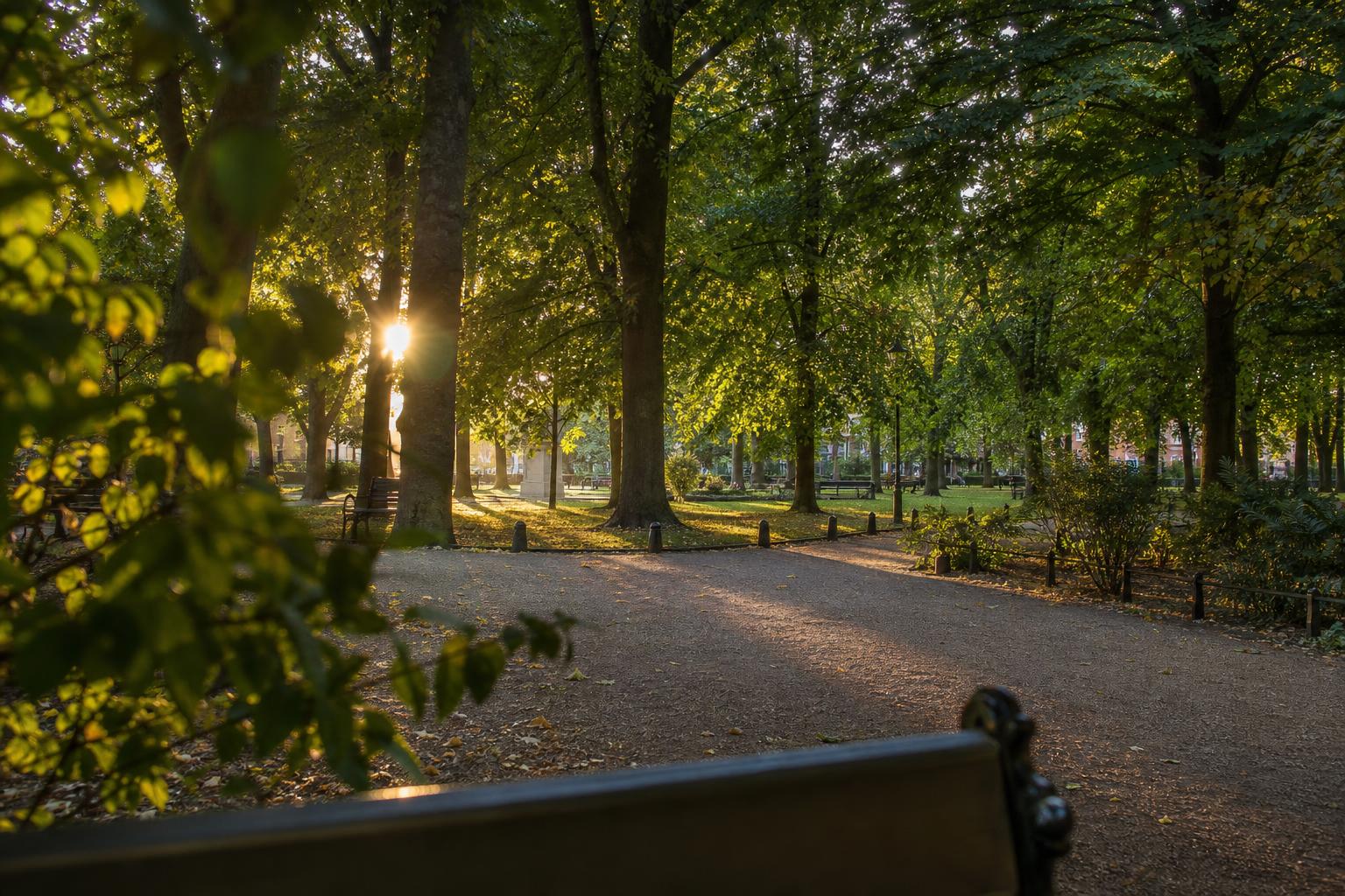 Park bench